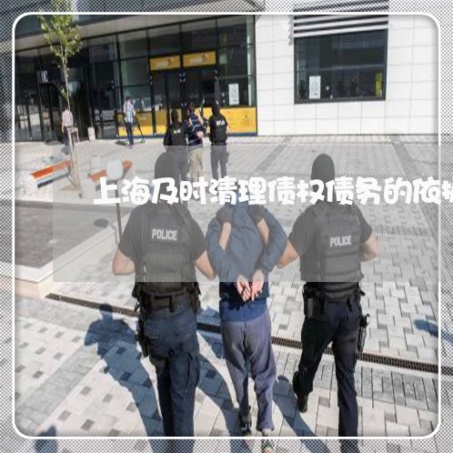上海及时清理债权债务的依据/2023032883526 上海及时清理债权债务的依据/2023032883526