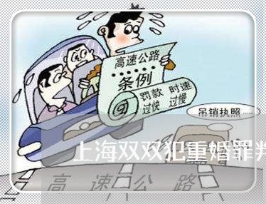 上海双双犯重婚罪判决案例/2023031526058 上海双双犯重婚罪判决案例/2023031526058