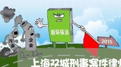 上海双城刑事案件律师事务所/2023032839271 上海双城刑事案件律师事务所/2023032839271
