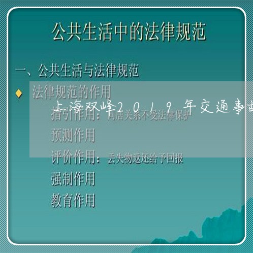 上海双峰2019年交通事故/2023032821818 上海双峰2019年交通事故/2023032821818