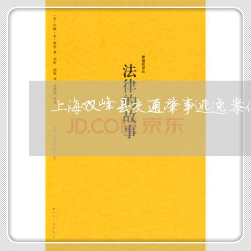 上海双峰县交通肇事逃逸案件/2023032807040 上海双峰县交通肇事逃逸案件/2023032807040