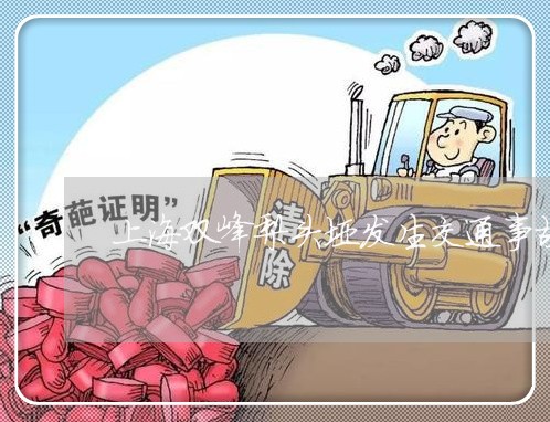 上海双峰梨头垭发生交通事故/2023032803726 上海双峰梨头垭发生交通事故/2023032803726