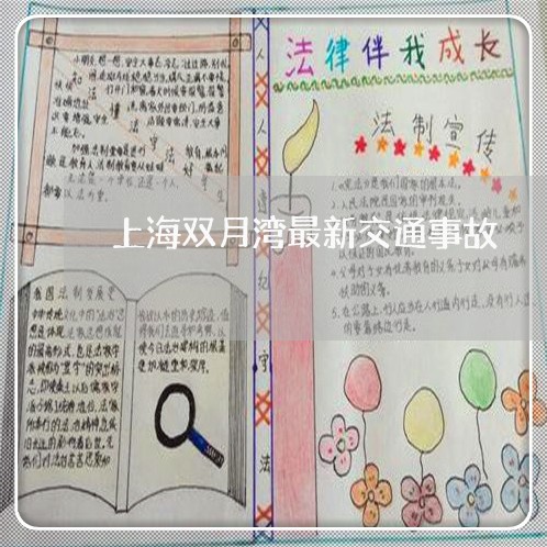 上海双月湾最新交通事故/2023022648269 上海双月湾最新交通事故/2023022648269