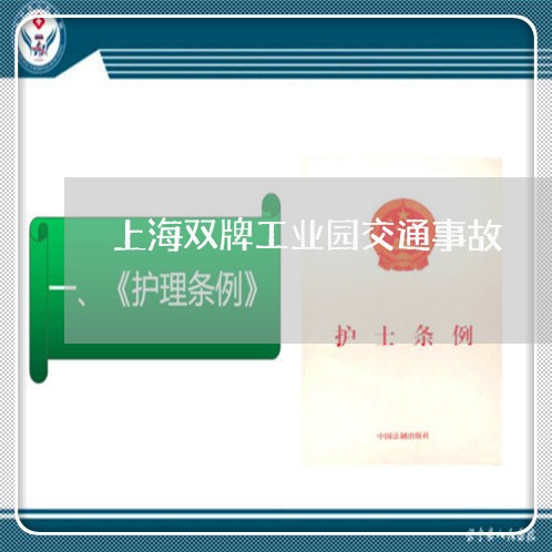 上海双牌工业园交通事故/2023022692606