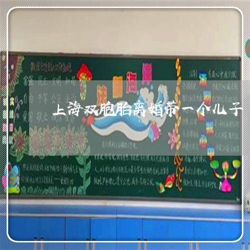 上海双胞胎离婚带一个儿子/2023031483937
