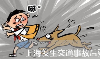 上海发生交通事故后要求索赔/2023032839271