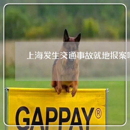 上海发生交通事故就地报案吗/2023032917160