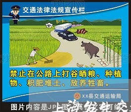 上海发生交通事故怎么去取车/2023032973504