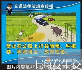 上海发生交通事故扣行车本/2023031575725 上海发生交通事故扣行车本/2023031575725