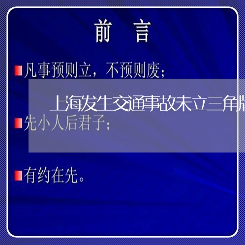 上海发生交通事故未立三角牌/2023032941848
