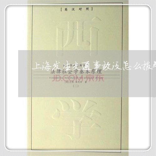 上海发生交通事故没怎么报警/2023032963616