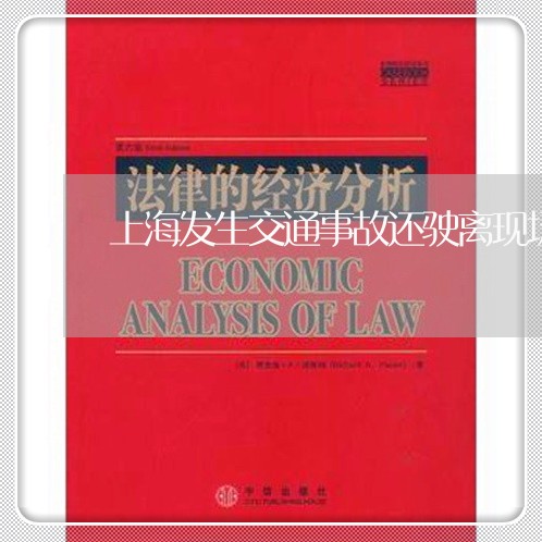 上海发生交通事故还驶离现场/2023032960593 上海发生交通事故还驶离现场/2023032960593