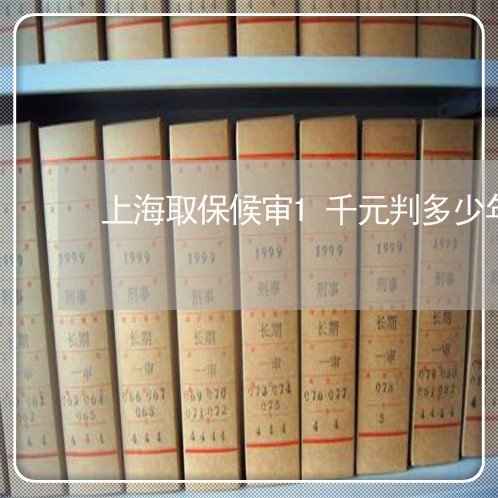 上海取保候审1千元判多少年/2023032957481 上海取保候审1千元判多少年/2023032957481