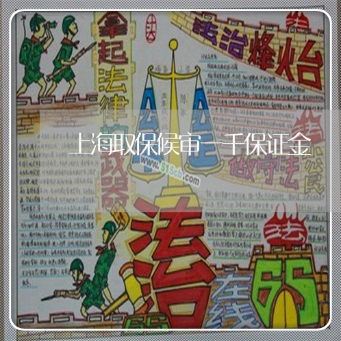上海取保候审一千保证金/2023022627471