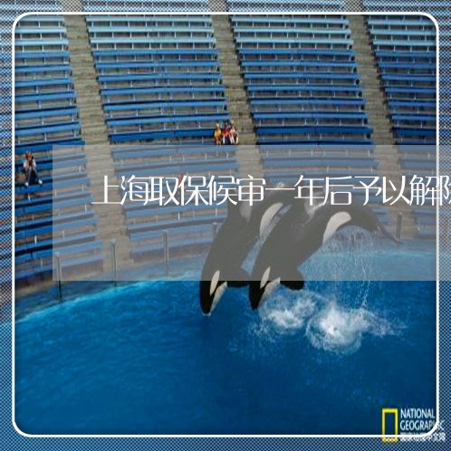 上海取保候审一年后予以解除/2023032945936 上海取保候审一年后予以解除/2023032945936