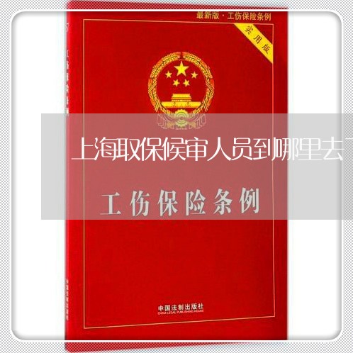 上海取保候审人员到哪里去了/2023032995937