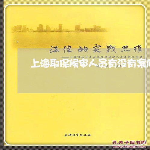 上海取保候审人员有没有案底/2023032962694