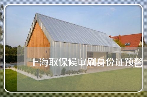 上海取保候审刷身份证预警/2023031583713