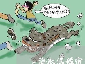 上海取保候审可以自动失效吗/2023032960381 上海取保候审可以自动失效吗/2023032960381
