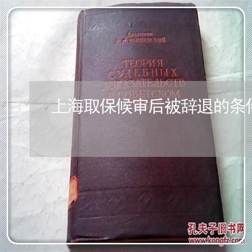 上海取保候审后被辞退的条件/2023032970583 上海取保候审后被辞退的条件/2023032970583