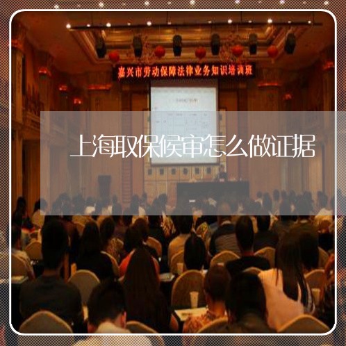 上海取保候审怎么做证据/2023022694714 上海取保候审怎么做证据/2023022694714