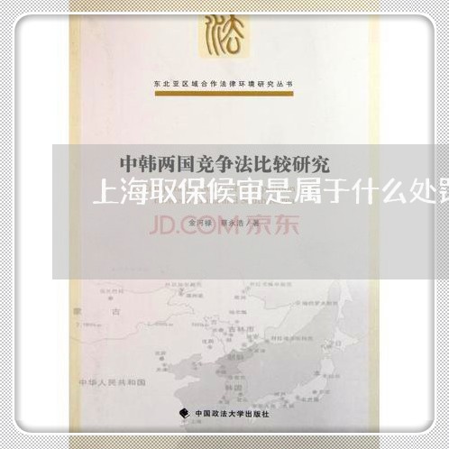 上海取保候审是属于什么处罚/2023032923959