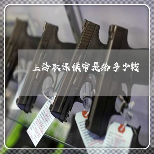 上海取保候审是给多少钱/2023022640505