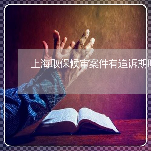 上海取保候审案件有追诉期吗/2023032905146 上海取保候审案件有追诉期吗/2023032905146