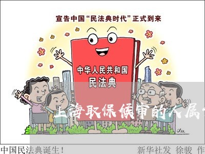 上海取保候审的人属于罪犯吗/2023032972613 上海取保候审的人属于罪犯吗/2023032972613
