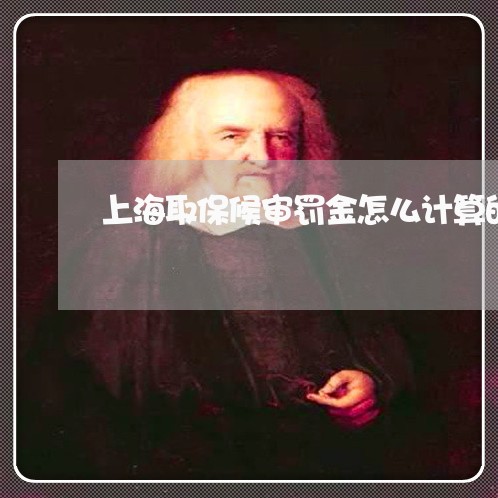 上海取保候审罚金怎么计算的/2023032917138 上海取保候审罚金怎么计算的/2023032917138