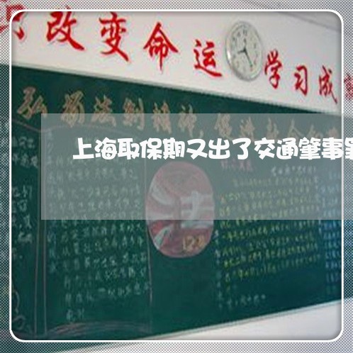 上海取保期又出了交通肇事罪/2023032929251