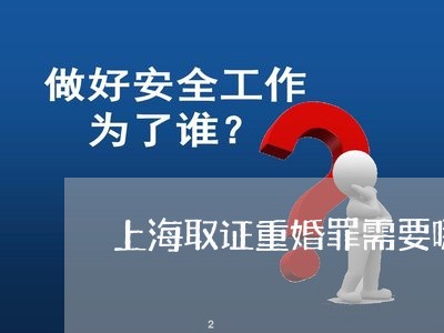 上海取证重婚罪需要哪些手续/2023032984817