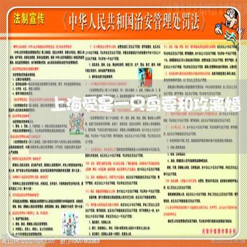 上海受是一只鸟要和攻离婚/2023031505047 上海受是一只鸟要和攻离婚/2023031505047