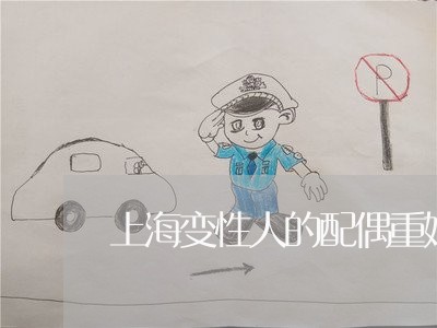 上海变性人的配偶重婚罪/2023022685950