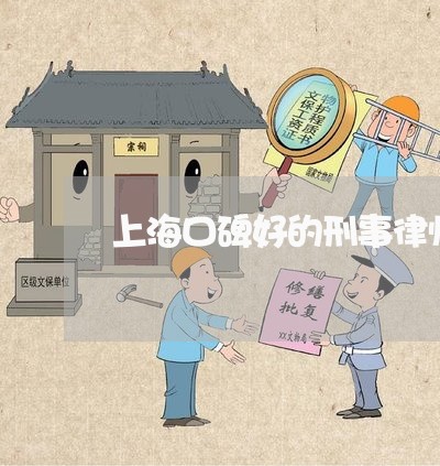 上海口碑好的刑事律师热线/2023031539582