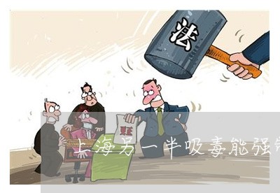 上海另一半吸毒能强制离婚吗/2023032950370 上海另一半吸毒能强制离婚吗/2023032950370