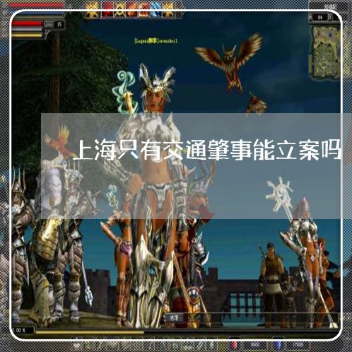 上海只有交通肇事能立案吗/2023031505258