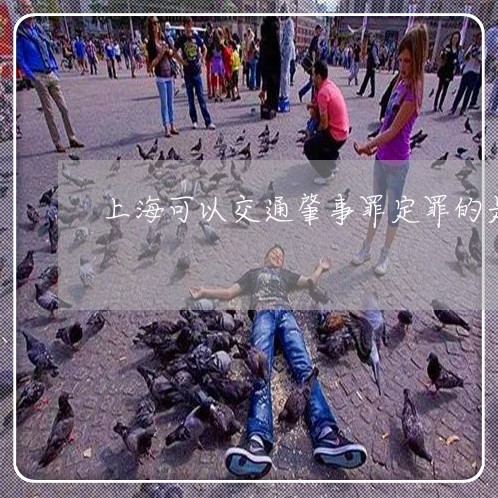 上海可以交通肇事罪定罪的是/2023032925049 上海可以交通肇事罪定罪的是/2023032925049