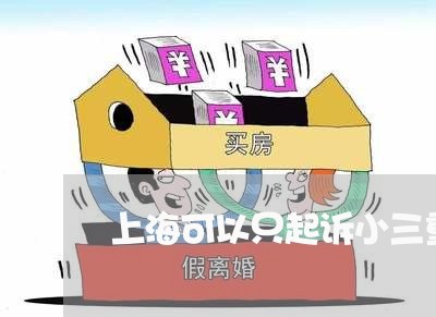 上海可以只起诉小三重婚罪吗/2023032937370 上海可以只起诉小三重婚罪吗/2023032937370