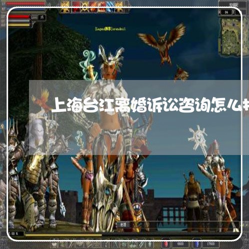 上海台江离婚诉讼咨询怎么找/2023032939272