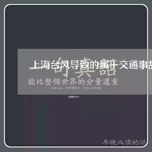 上海台风导致的属于交通事故/2023032946150