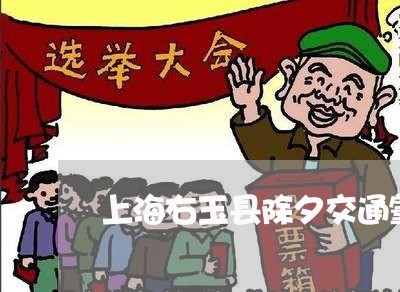 上海右玉县除夕交通肇事案件/2023032949382