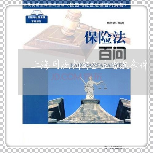 上海司法拍卖企业当选条件