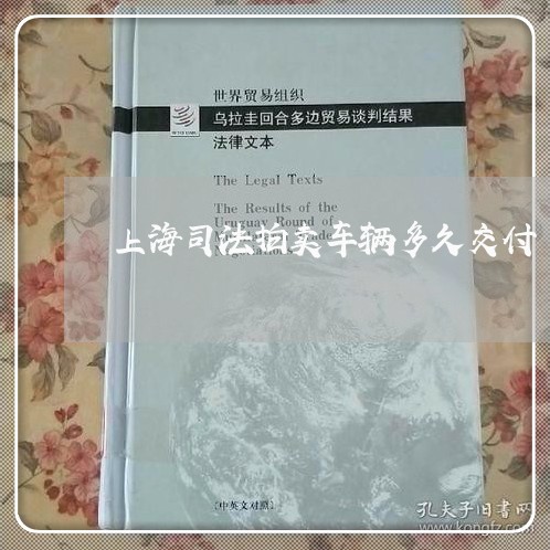 上海司法拍卖车辆多久交付 上海司法拍卖车辆多久交付