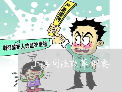 上海司法改革纲要
