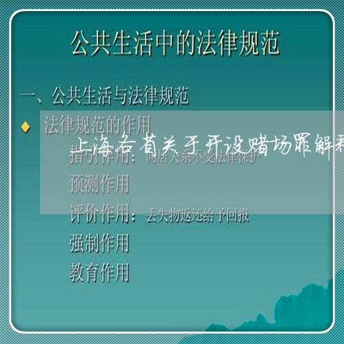 上海各省关于开设赌场罪解释/2023032952714 上海各省关于开设赌场罪解释/2023032952714