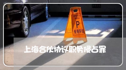 上海合伙协议职务侵占罪/2023022582626 上海合伙协议职务侵占罪/2023022582626
