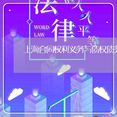 上海合同权利义务与债权债务/2023032949482 上海合同权利义务与债权债务/2023032949482