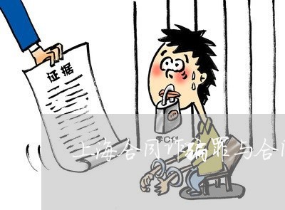 上海合同诈骗罪与合同欺诈罪/2023032948473