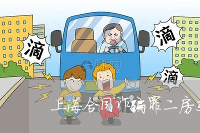 上海合同诈骗罪二房东案例/2023031533846 上海合同诈骗罪二房东案例/2023031533846